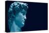 David-Michelangelo-Stretched Canvas