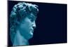 David-Michelangelo-Mounted Art Print