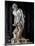 David-Gian Lorenzo Bernini-Mounted Art Print