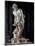 David-Gian Lorenzo Bernini-Mounted Art Print