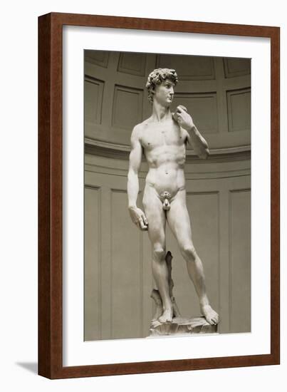 David-Michelangelo-Framed Art Print