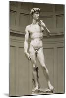 David-Michelangelo-Mounted Art Print