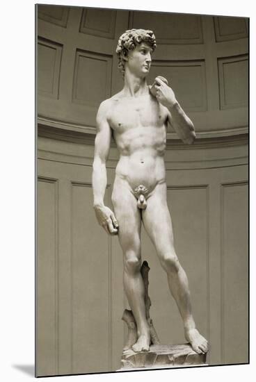 David-Michelangelo-Mounted Premium Giclee Print