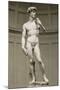 David-Michelangelo-Mounted Premium Giclee Print