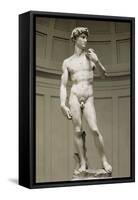 David-Michelangelo-Framed Stretched Canvas