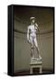 David-Michelangelo Buonarroti-Framed Stretched Canvas