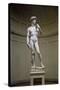 David-Michelangelo Buonarroti-Stretched Canvas