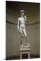 David-Michelangelo Buonarroti-Mounted Giclee Print