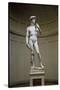 David-Michelangelo Buonarroti-Stretched Canvas