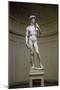 David-Michelangelo Buonarroti-Mounted Premium Giclee Print