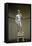 David-Michelangelo Buonarroti-Framed Stretched Canvas