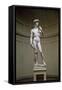 David-Michelangelo Buonarroti-Framed Stretched Canvas
