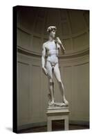 David-Michelangelo Buonarroti-Stretched Canvas