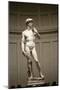 David-Michelangelo Buonarroti-Mounted Premium Giclee Print