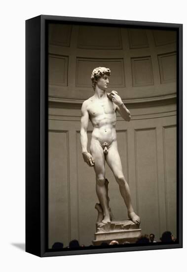 David-Michelangelo Buonarroti-Framed Stretched Canvas