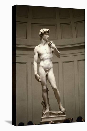 David-Michelangelo Buonarroti-Stretched Canvas