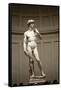 David-Michelangelo Buonarroti-Framed Stretched Canvas