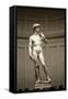 David-Michelangelo Buonarroti-Framed Stretched Canvas