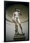 David-Michelangelo Buonarroti-Framed Giclee Print