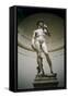 David-Michelangelo Buonarroti-Framed Stretched Canvas