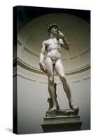 David-Michelangelo Buonarroti-Stretched Canvas