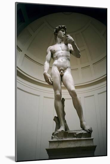 David-Michelangelo Buonarroti-Mounted Giclee Print