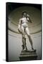 David-Michelangelo Buonarroti-Framed Stretched Canvas