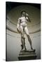 David-Michelangelo Buonarroti-Stretched Canvas