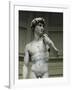 David-Michelangelo-Framed Art Print