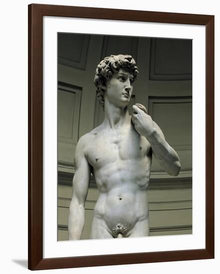 David-Michelangelo-Framed Art Print