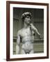 David-Michelangelo-Framed Art Print