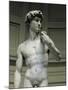 David-Michelangelo-Mounted Art Print