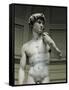 David-Michelangelo-Framed Stretched Canvas