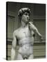 David-Michelangelo-Stretched Canvas