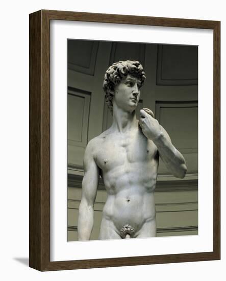 David-Michelangelo-Framed Art Print