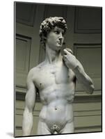 David-Michelangelo-Mounted Art Print