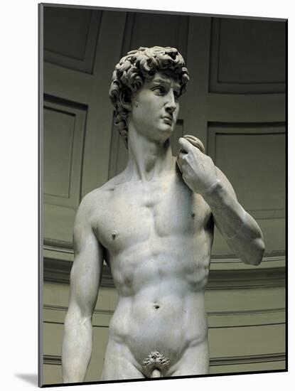David-Michelangelo-Mounted Art Print
