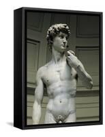 David-Michelangelo-Framed Stretched Canvas