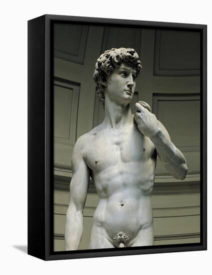 David-Michelangelo-Framed Stretched Canvas