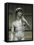 David-Michelangelo-Framed Stretched Canvas