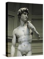 David-Michelangelo-Stretched Canvas