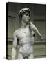 David-Michelangelo-Stretched Canvas