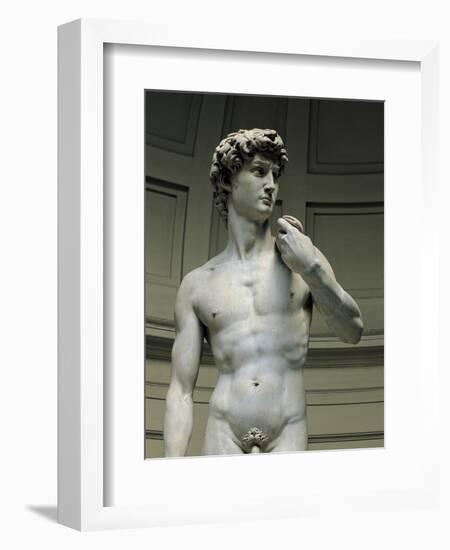 David-Michelangelo-Framed Art Print