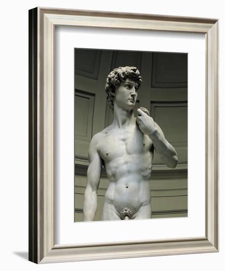 David-Michelangelo-Framed Art Print