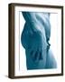 David-Michelangelo-Framed Art Print