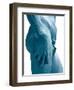 David-Michelangelo-Framed Art Print