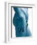 David-Michelangelo-Framed Art Print