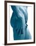 David-Michelangelo-Framed Art Print