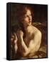 David-Giovanni Lorenzo Bernini-Framed Stretched Canvas