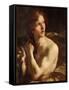 David-Giovanni Lorenzo Bernini-Framed Stretched Canvas